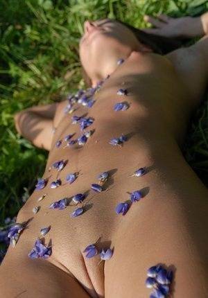 Completely naked teen Nikki D covers herself with petals from wildflowers on shefanatics.com