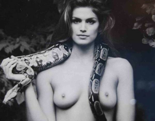 Cindy Crawford Nude on shefanatics.com