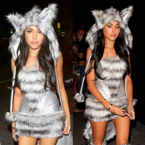 Madison Beer Halloween Candids Big Bad Wolf Cosplay Set Leaked - Usa on shefanatics.com