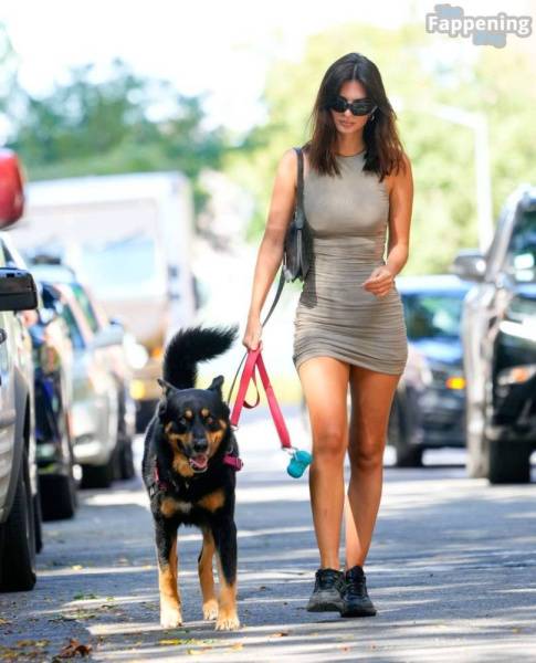 Emily Ratajkowski Looks Hot in a Mini Dress While Walking Her Dog in NYC (32 Photos) on shefanatics.com